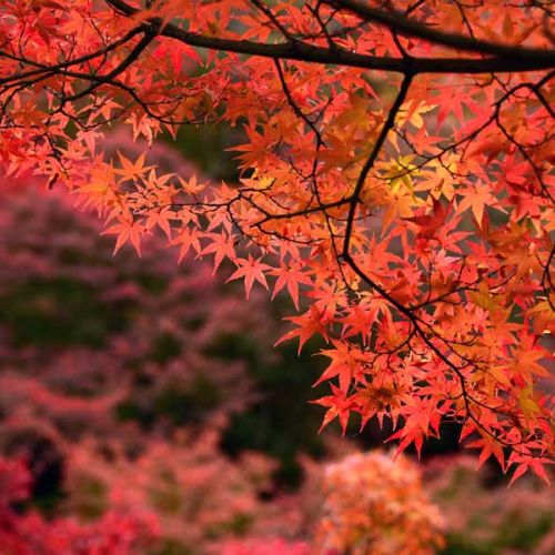 Il nostro primo autunno è arrivato (e fa freddo!)