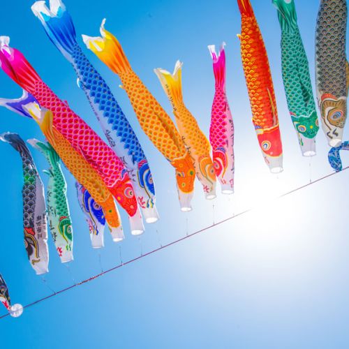Koinobori: carpe nel vento per la festa del bambino!