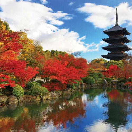 Il mio Giappone 2026 edition: la mostra fotografica di Yuzuya
